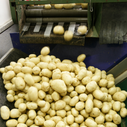 Pakowacz produktów ziemniaczanych start od marca!